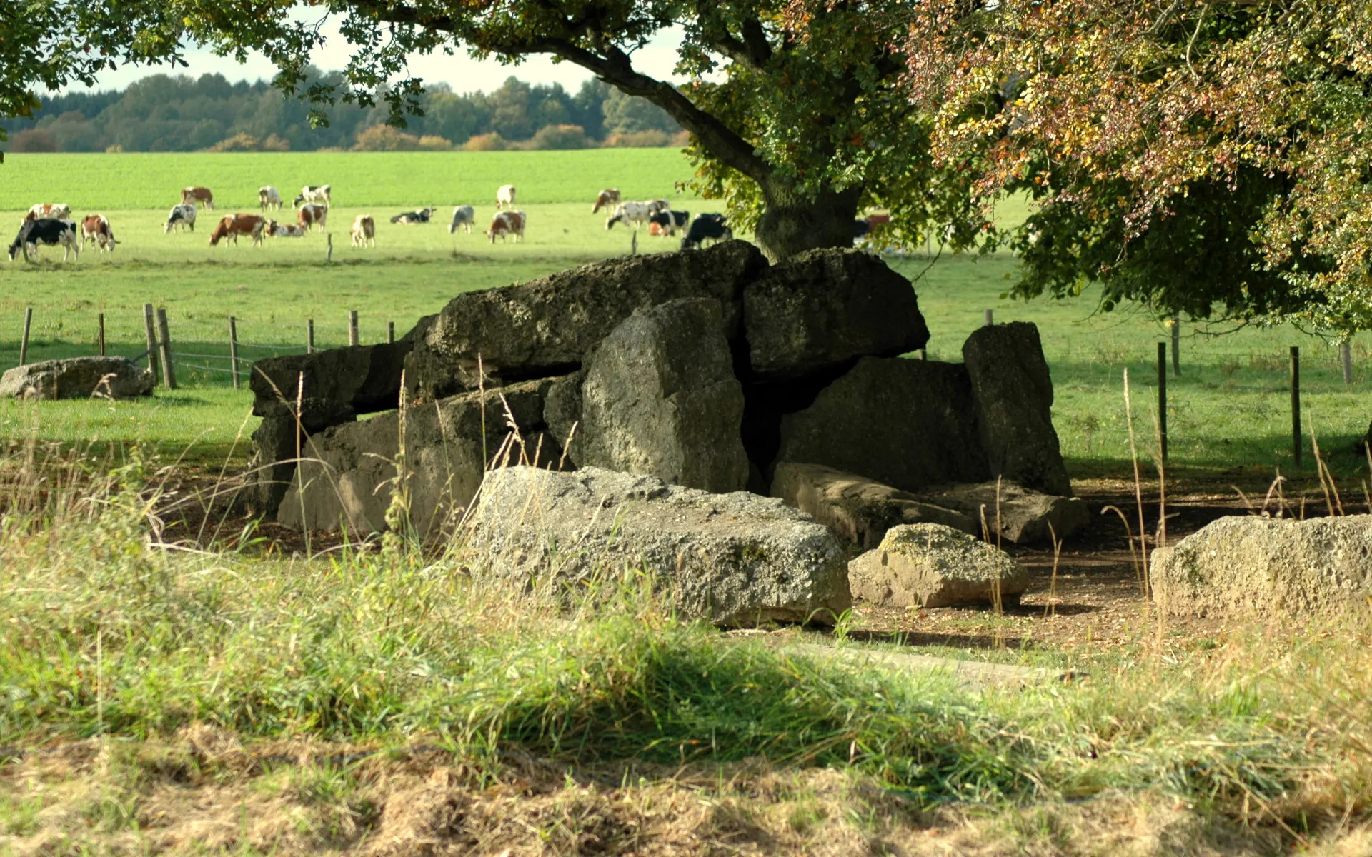 Dolmen in Wéris