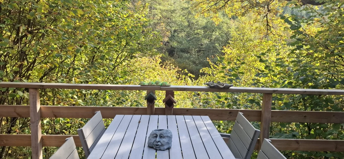 Zicht vanop terras