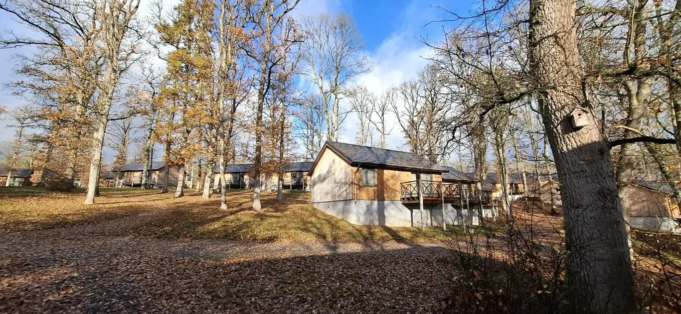 Zicht vanuit de chalet vooraan